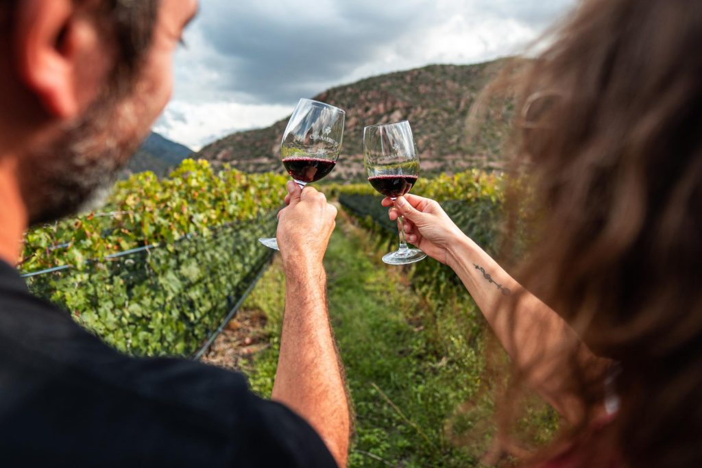 Wine tasting and wine tour