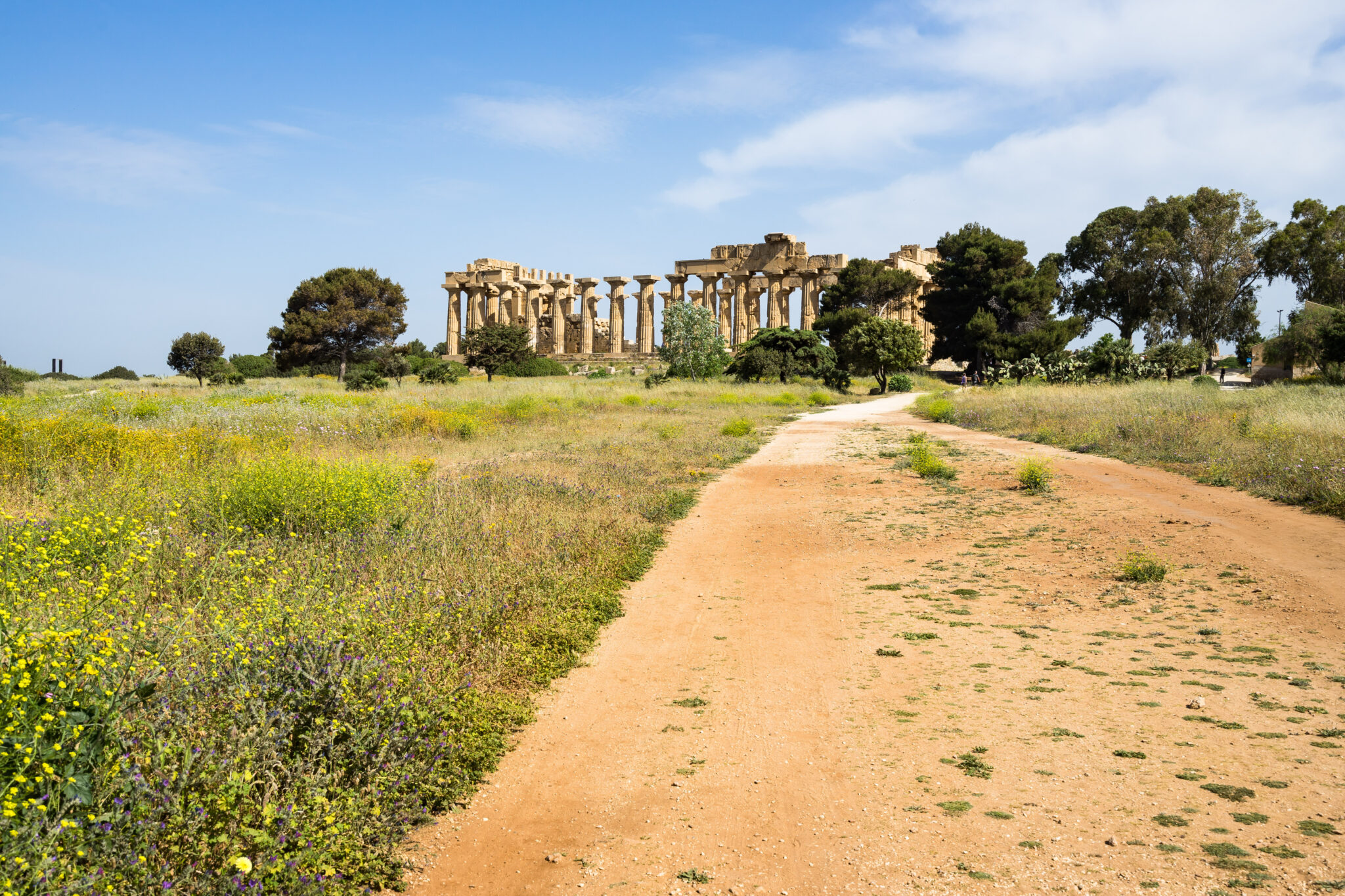 Selinunte Sicily Guide 2026: Archaeological Park and Temples - Sicily4u