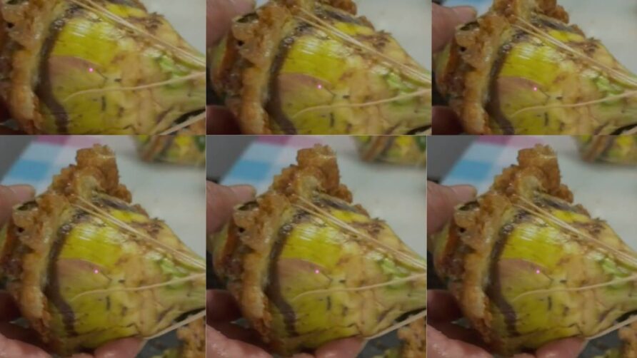 Sicilian Stuffed Artichokes in Tomato Sauce